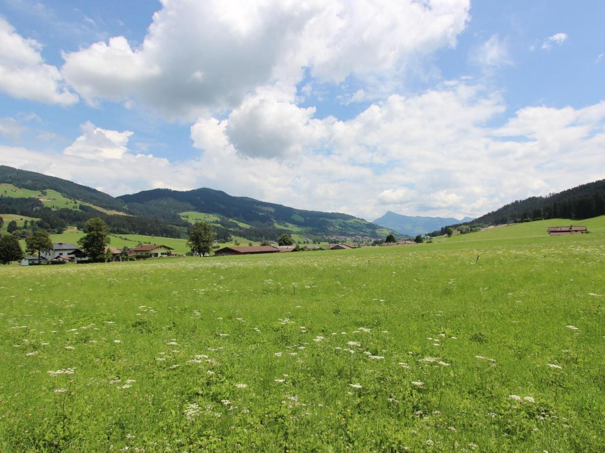 Modern Apartment With Wilder Kaiser View 布肯 外观 照片