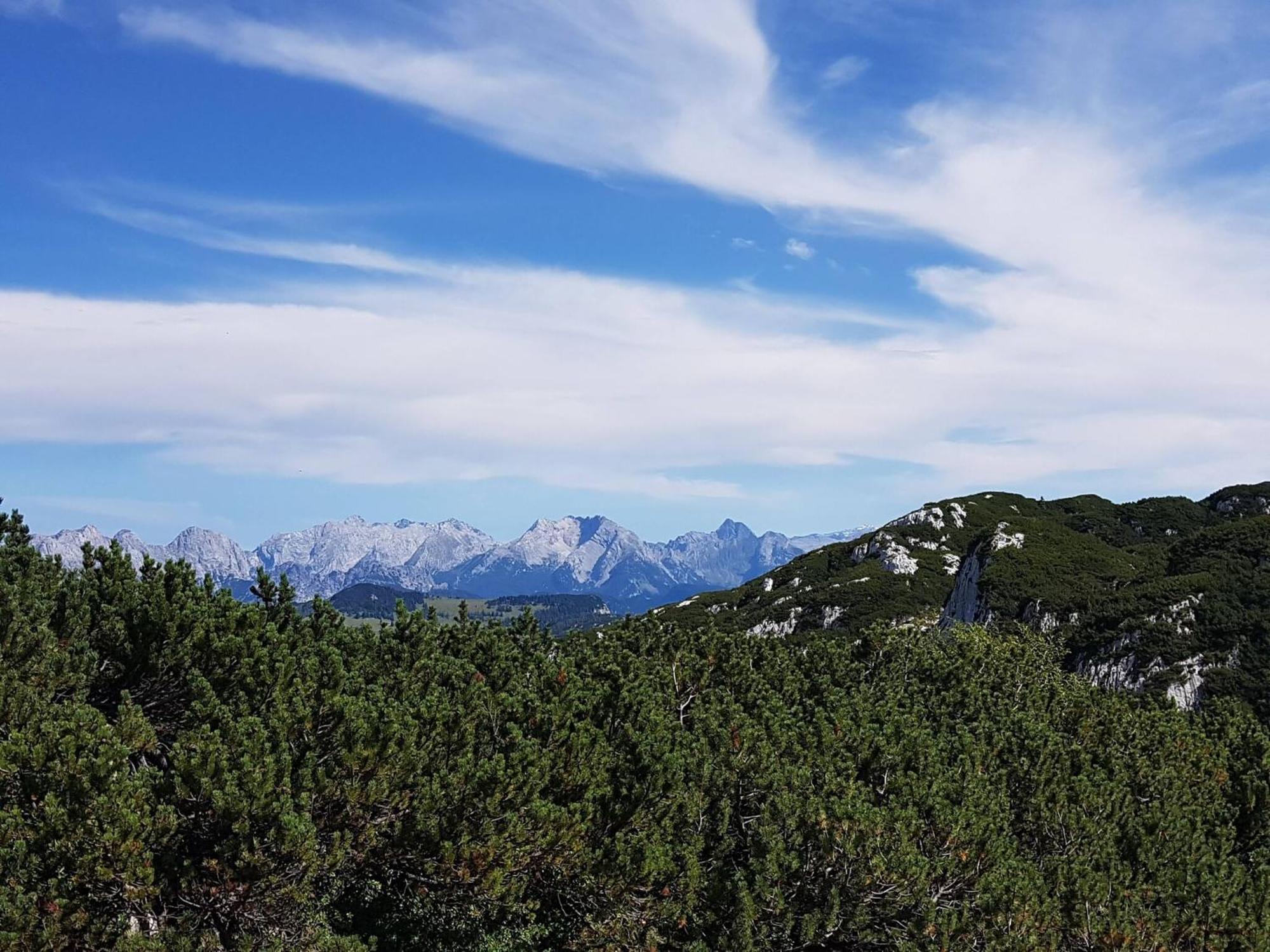 Modern Apartment With Wilder Kaiser View 布肯 外观 照片